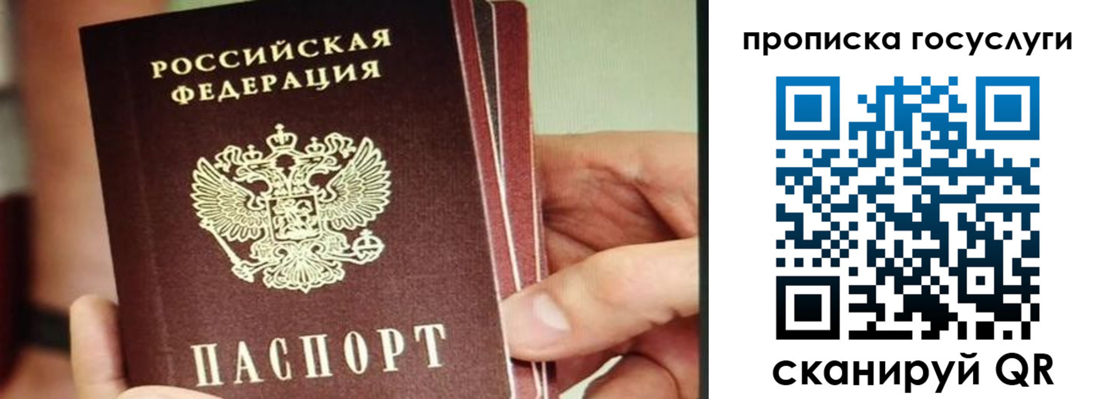 пропишу в квартире в Сасово